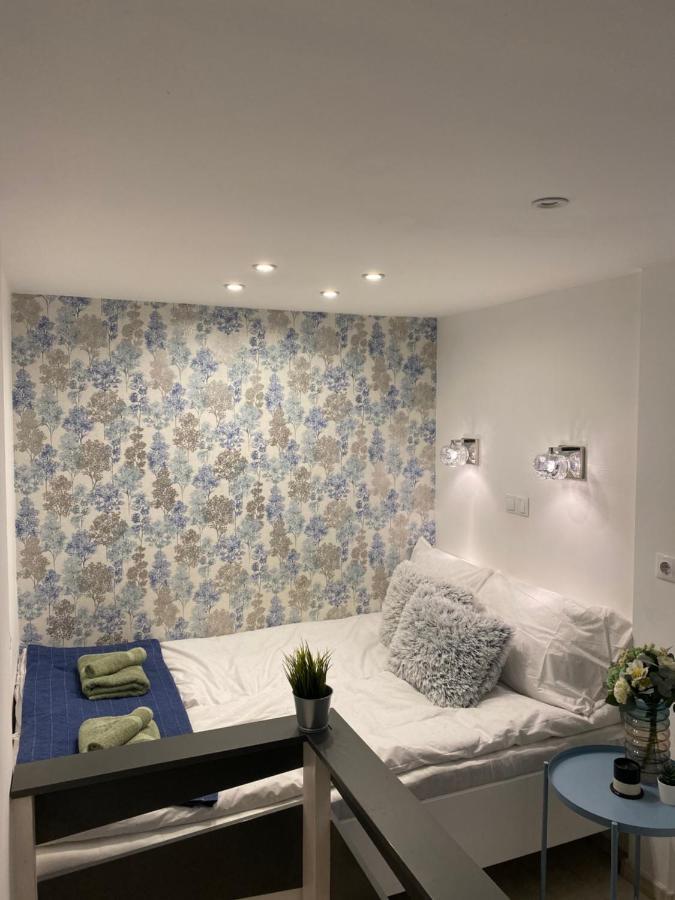 Downtown Mini Apartment بودابست المظهر الخارجي الصورة